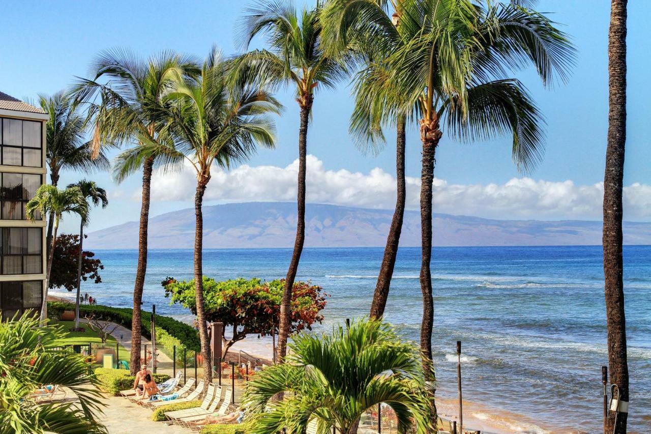 Shores 806 Apartamento